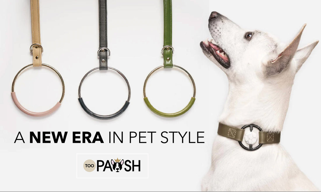 Too Pawsh, Elevating Pet Shopping with Luxury and Style