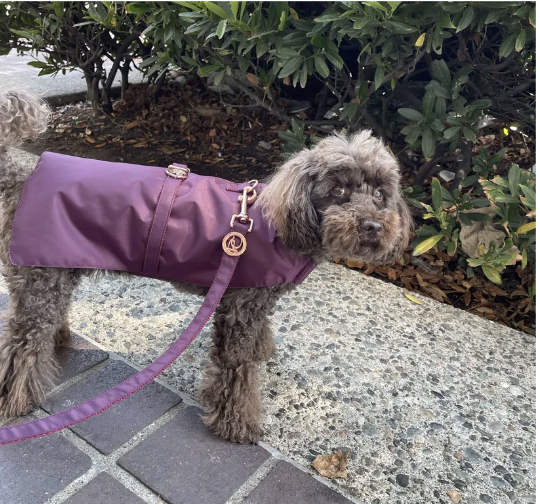 Puccissimé Rain Jacket (Leash Sold Separately)