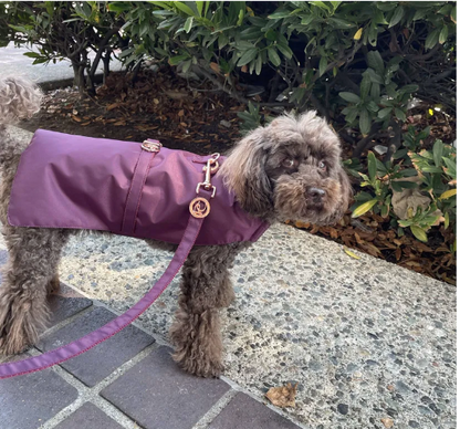 Puccissimé Rain Jacket (Leash Sold Separately)