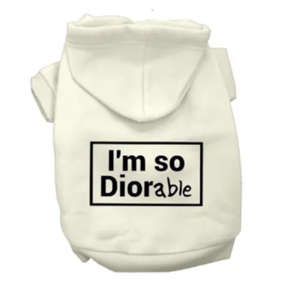 DIOR-able Hoodie