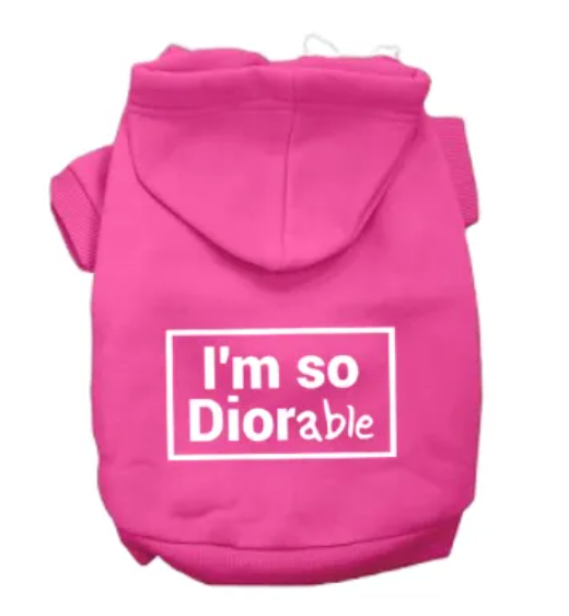 DIOR-able Hoodie