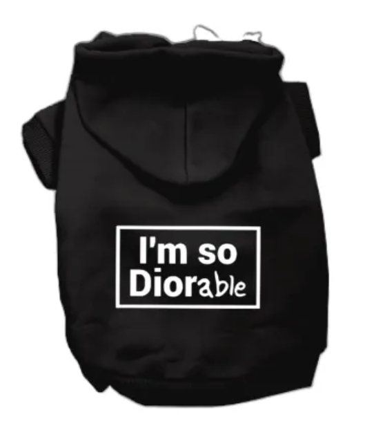 DIOR-able Hoodie